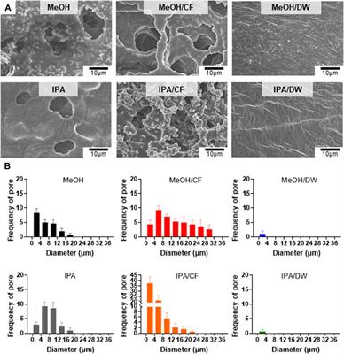 Stretching of porous poly (l-lactide-co-ε-caprolactone) membranes regulates the differentiation of mesenchymal stem cells